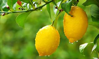 Health benefits of fruits: Lemons