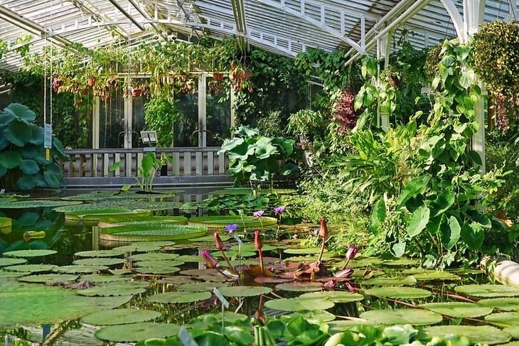 tourist attractions in munich The Botanical Gardens greenhouse