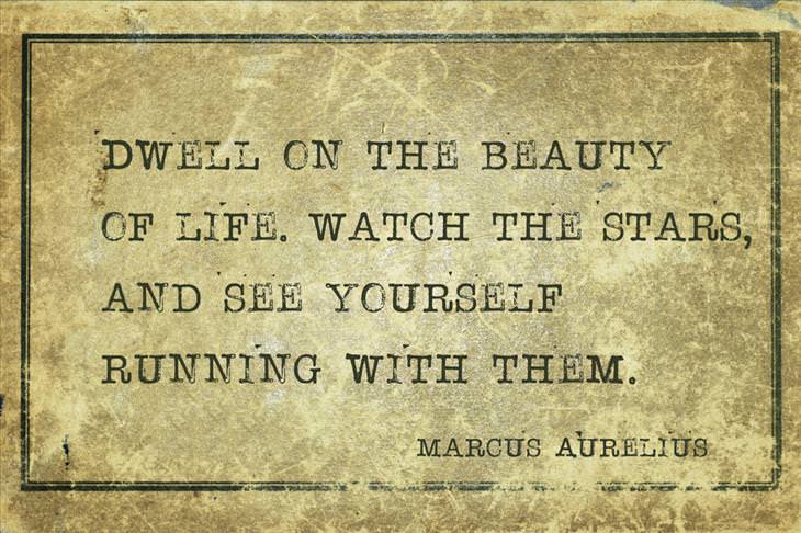 Marcus Aurelius Quote