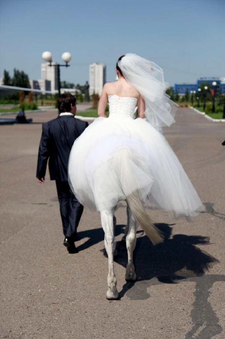 optical illusions bride on a horse and groom