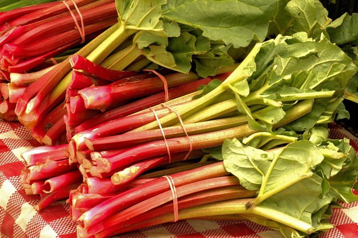 healthy foods that can be toxic Rhubarb