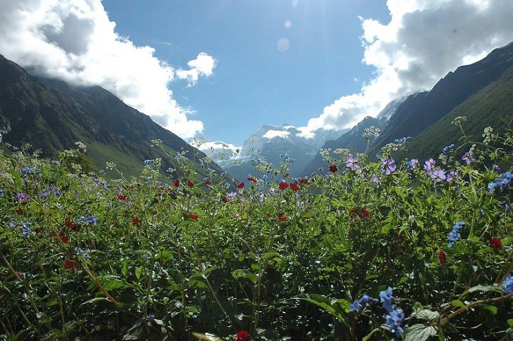 Wonders of Nature Valley of Flowers National Park