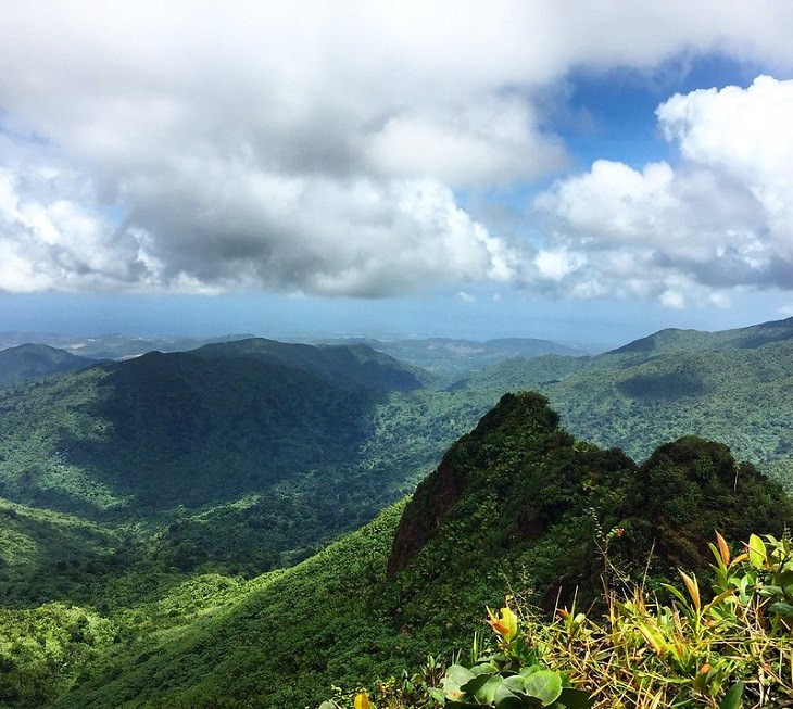 Wonders of Nature El Yunque National Forest