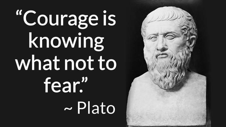 courage inspiring quotes "Courage is knowing what not to fear." (Plato)