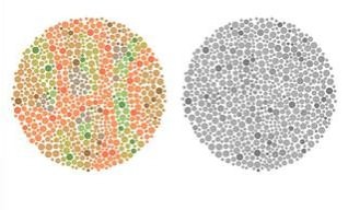 color blindness test