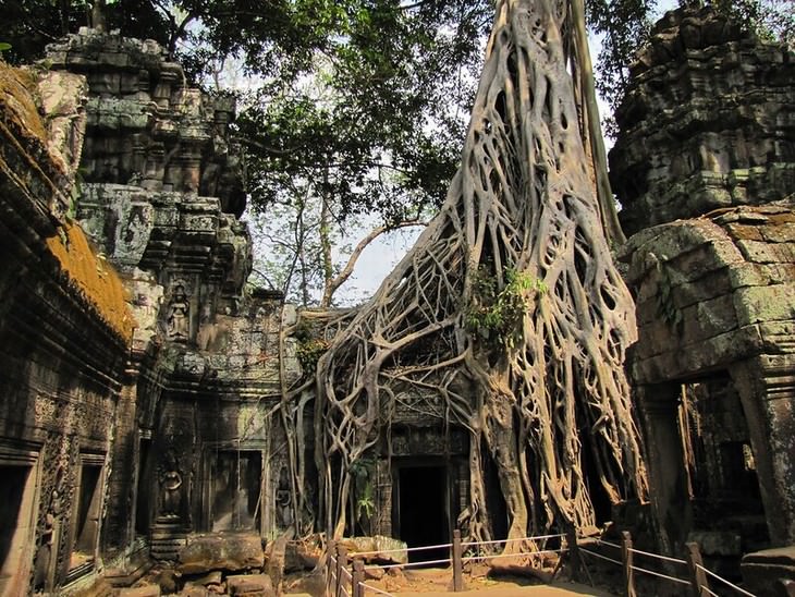 ancient ruins Ta Prohm Temple, Cambodia