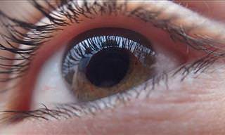 Eyesight health tips: an eye