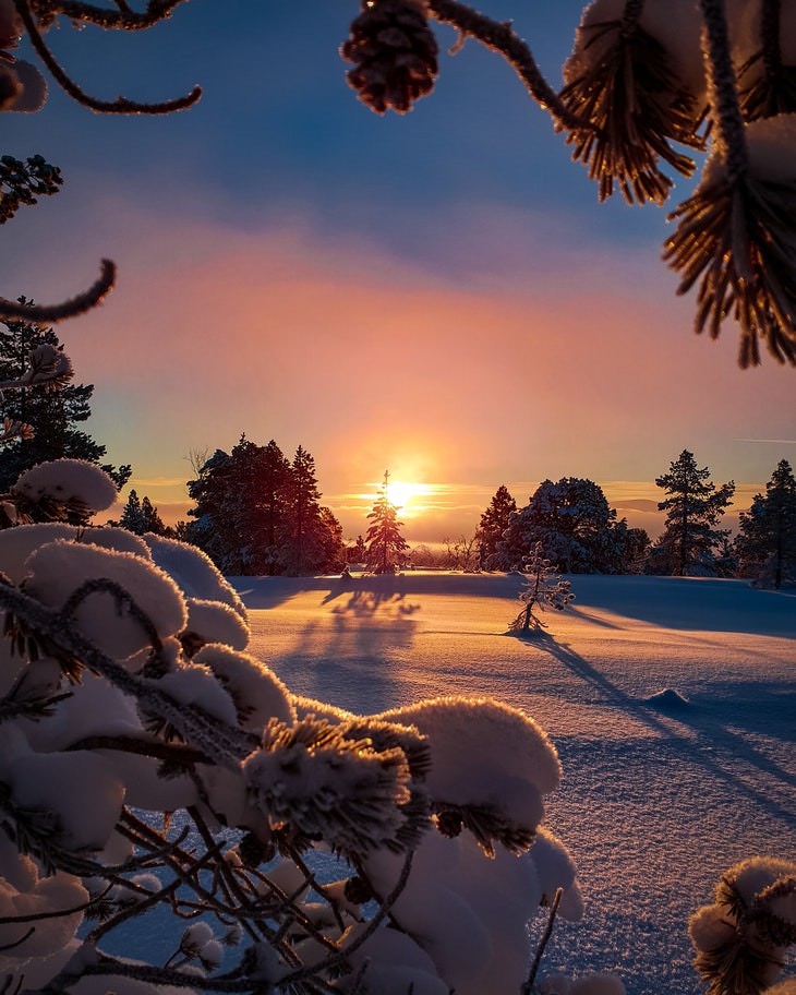 winter landscapes collection Fresh Snow on a Field at Sunrise