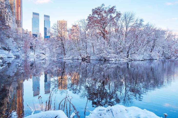 winter landscapes collection Central Park, New York City