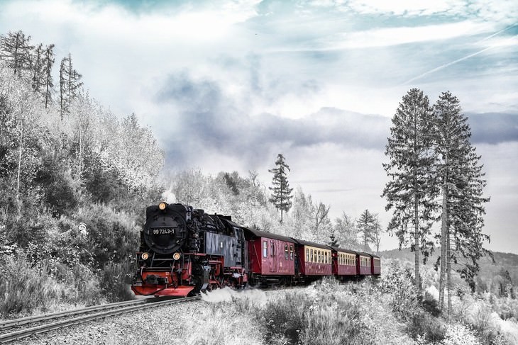 winter landscapes collection A Train Chugging Through a Wintry Forest