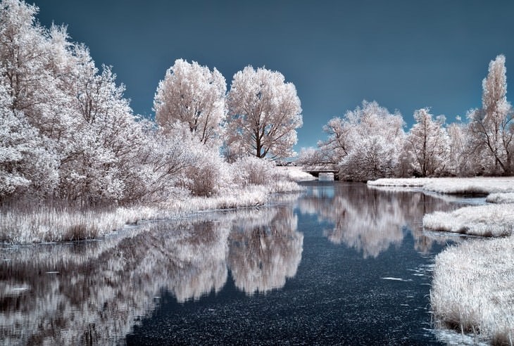 winter landscapes collection Landscape in Aarlanderveen, the Netherlands