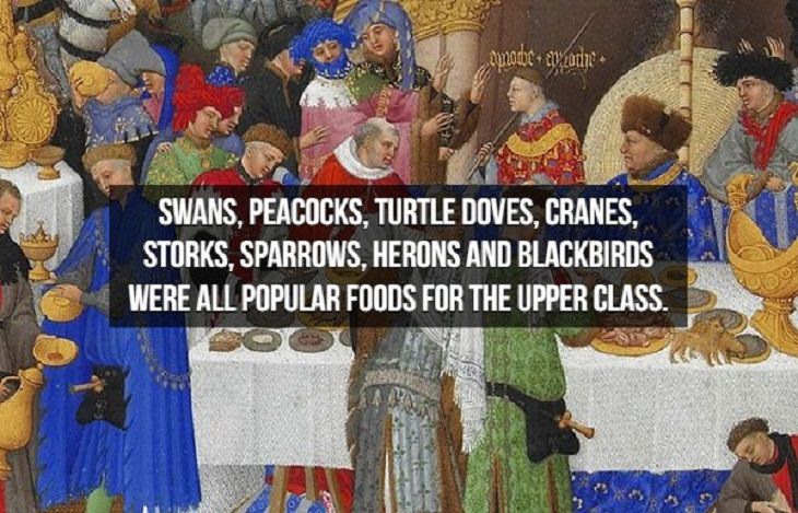 Middle Ages Facts birds as meals