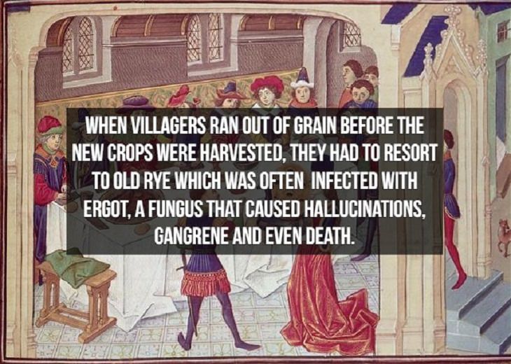 Middle Ages Facts crops