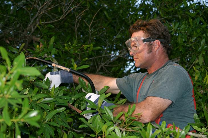 Habits Bad for Eyes man wearing safety goggles on a tree cutting off a tree branch