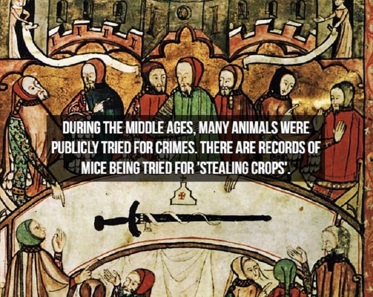 Middle Ages Facts animals trial 