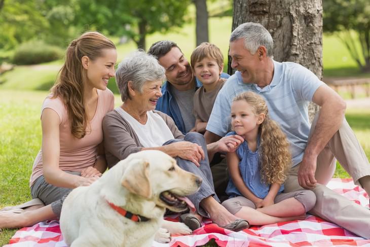 15 questions to ask doctor during exam happy family picture in the park