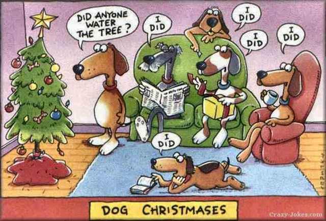 Funny Christmas Photos And Cartoons Funny Christmas Photos And Cartoons