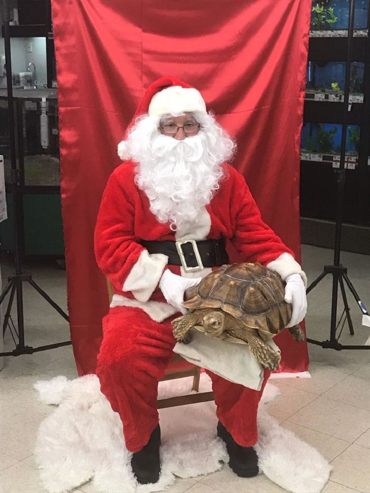 Santa at the Mall