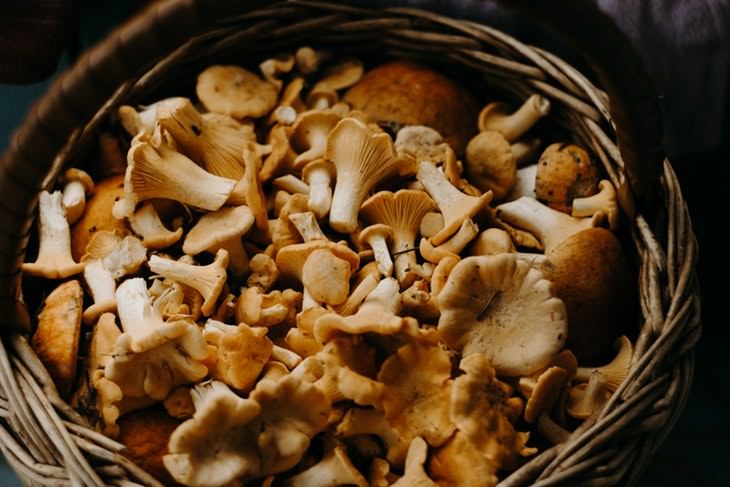 vegetables that become healthier once cooked Mushrooms