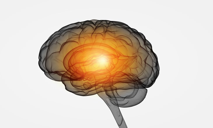 health myths of the 2010's brains glowing