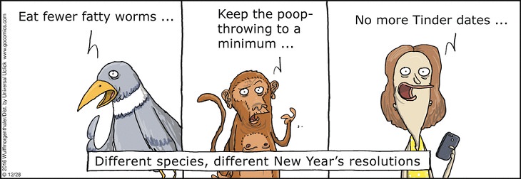 New Year Resolution Comics Different perspectives