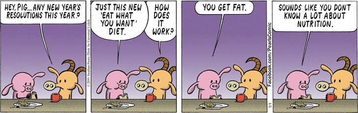 New Year Resolution Comics Eat What You Want' diet