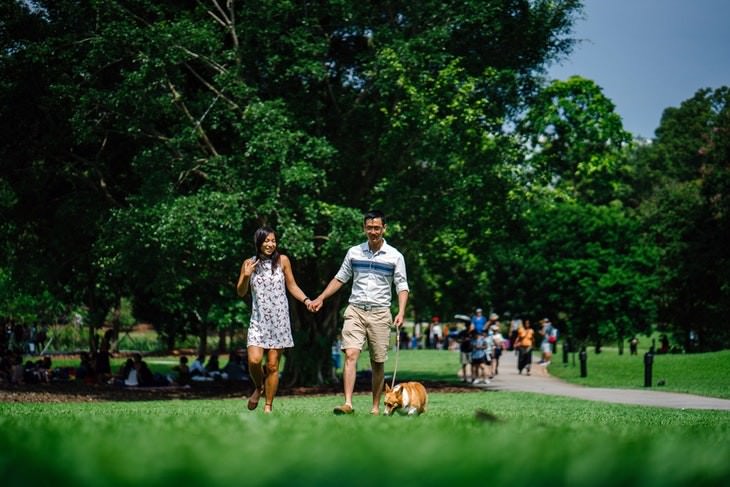 lower back remedies family walking the dog in the park