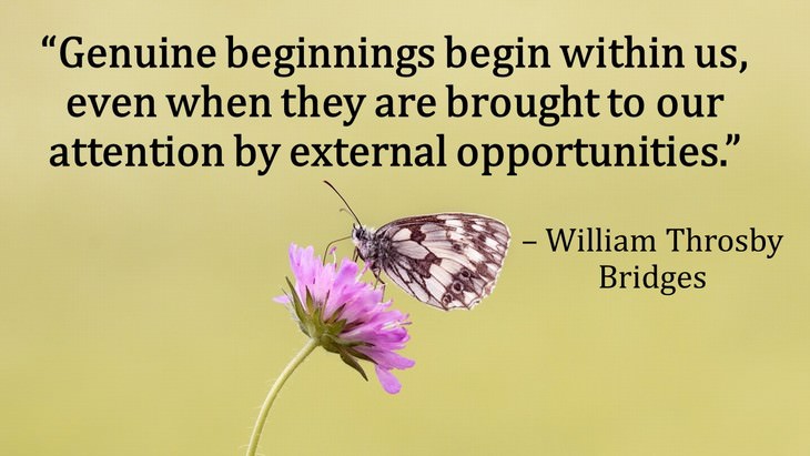  Quotes About New Beginnings William Throsby Bridges