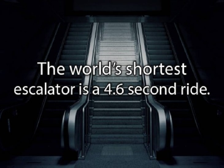 fascinating random facts escalator