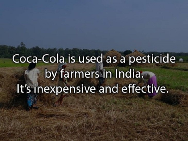 fascinating random facts Coca Cola