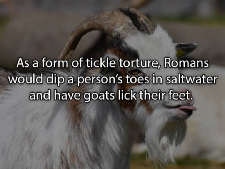 fascinating random facts Romans