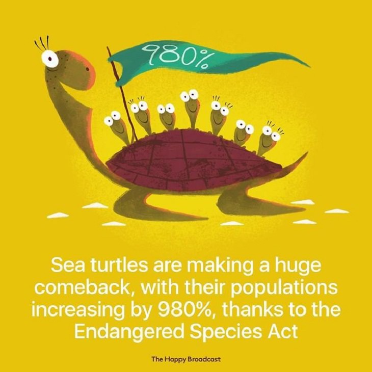 Positive Headlines sea turtles