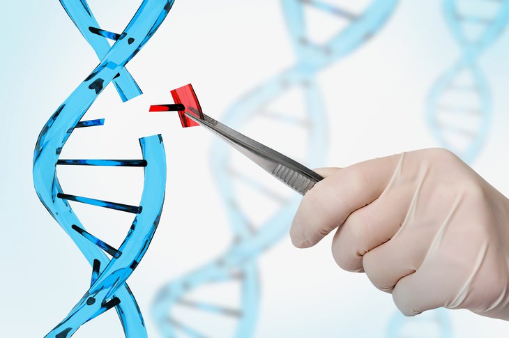 10 Greatest Medical Discoveries of the Year 2019 gene editing