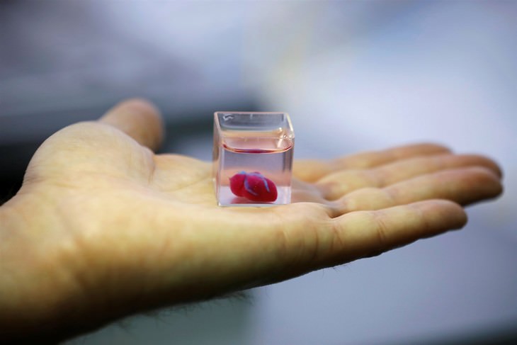 10 Greatest Medical Discoveries of the Year 2019 3d printed heart