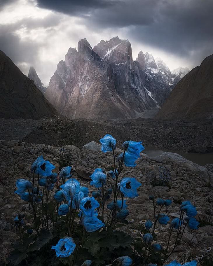 The 2018 International Landscape Photographer Of The Year Contest Torres Del Paine National Park