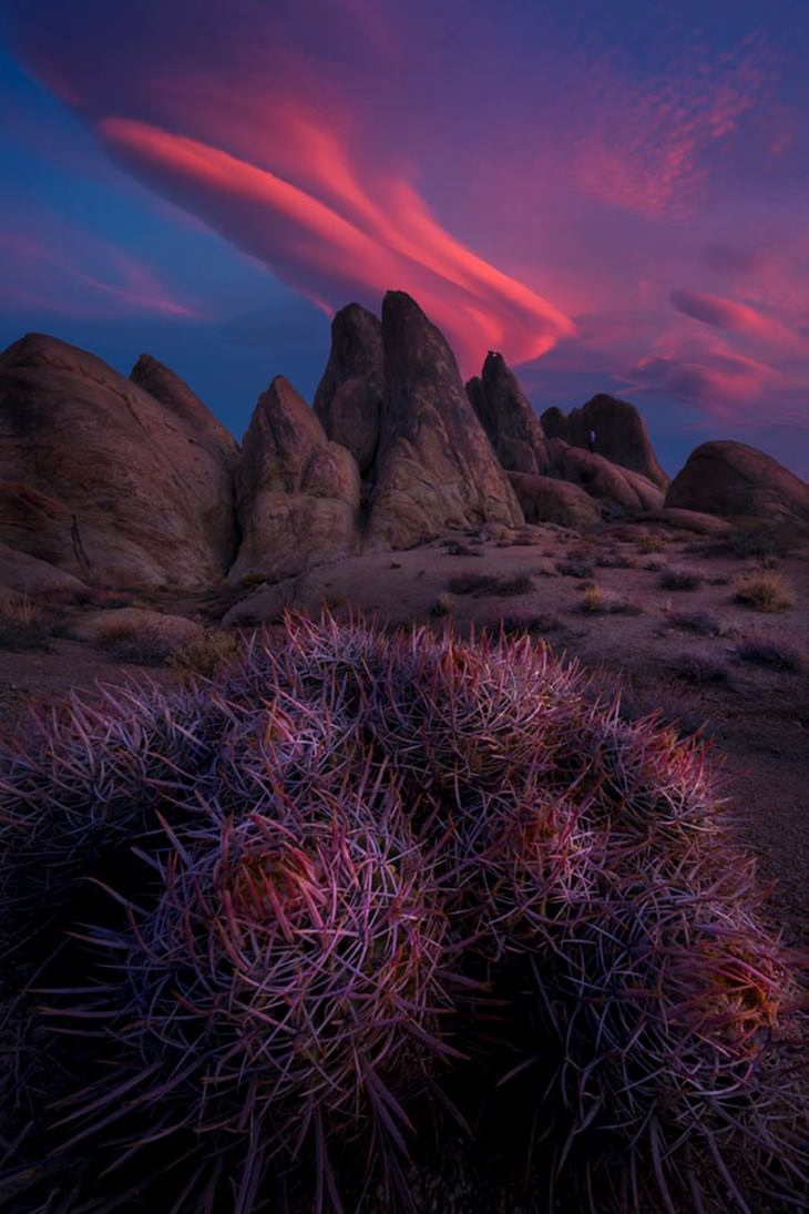 The 2018 International Landscape Photographer Of The Year Contest 2018 International Landscape Photograph Of The Year 2nd Place, Alabama Hills, Lone Pine, California, Usa, Miles Morgan