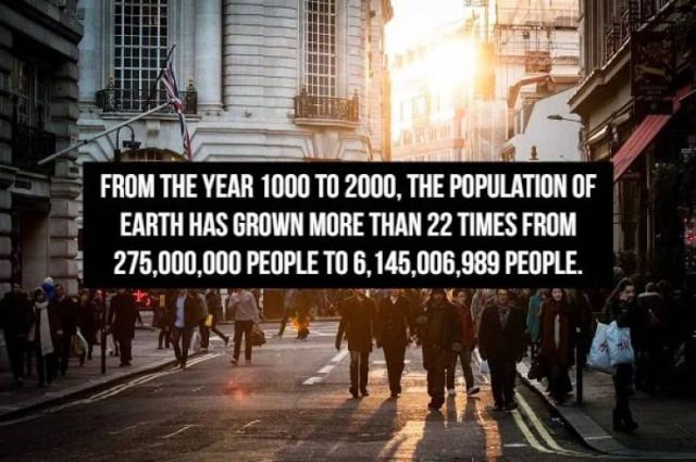 interesting facts and figures