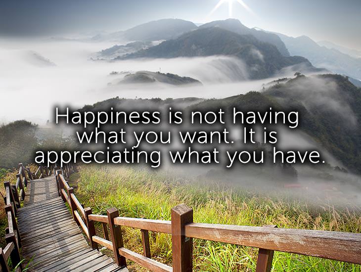 Happiness Is Not Having What You Want