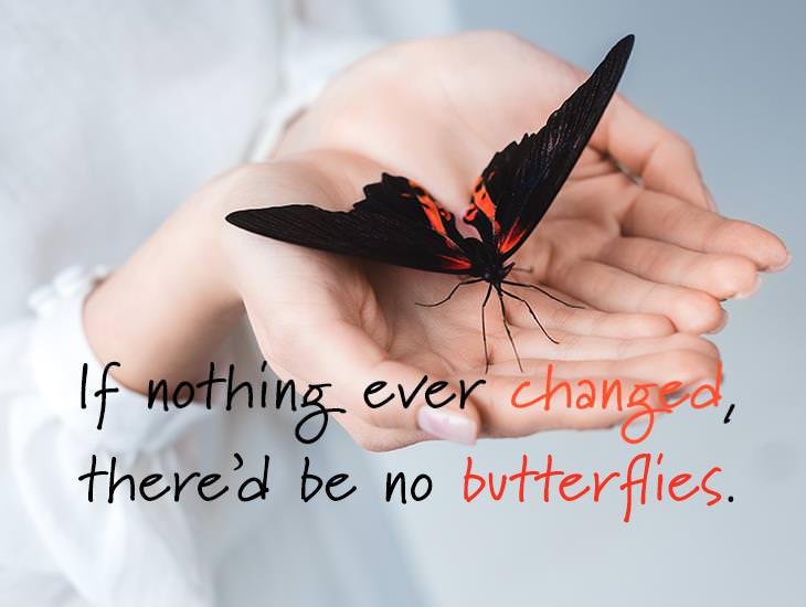 If Nothing Ever Changed, There’d Be No Butterflies