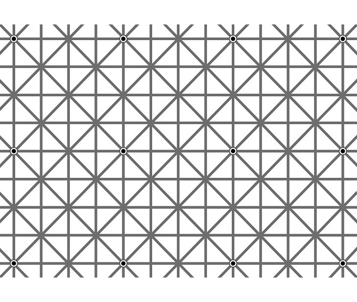 optical illusions black dots