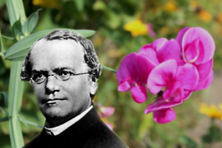 underappreciated scientists Gregor Mendel