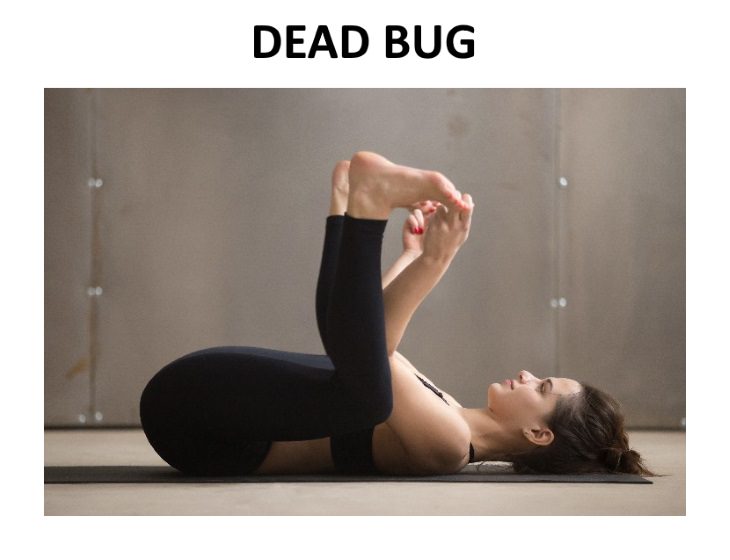 Exercises to Help Reduce Chronic Pain dead bug