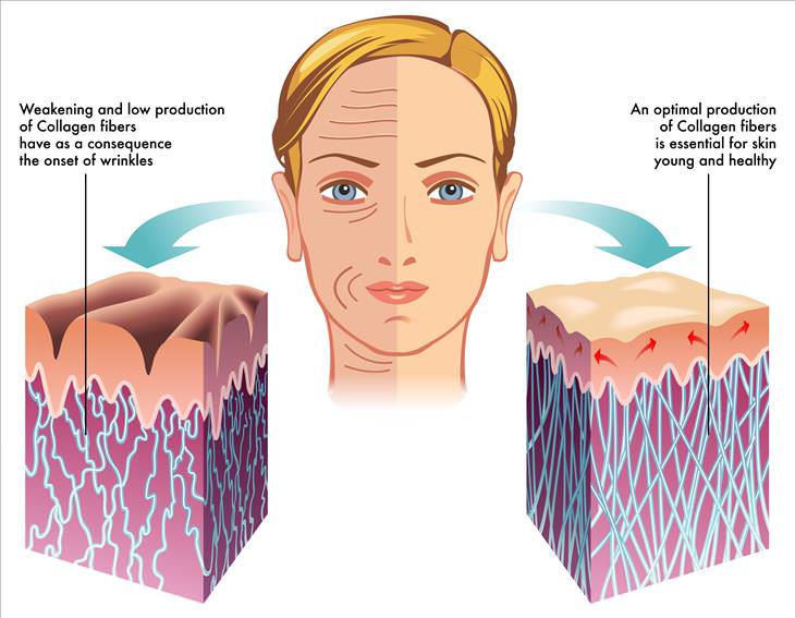 foods that age your skin collagen production