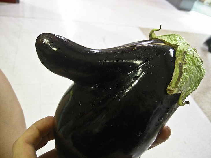 superstitions eggplant