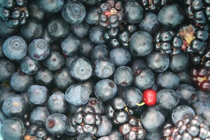 Anthocyanins: berries