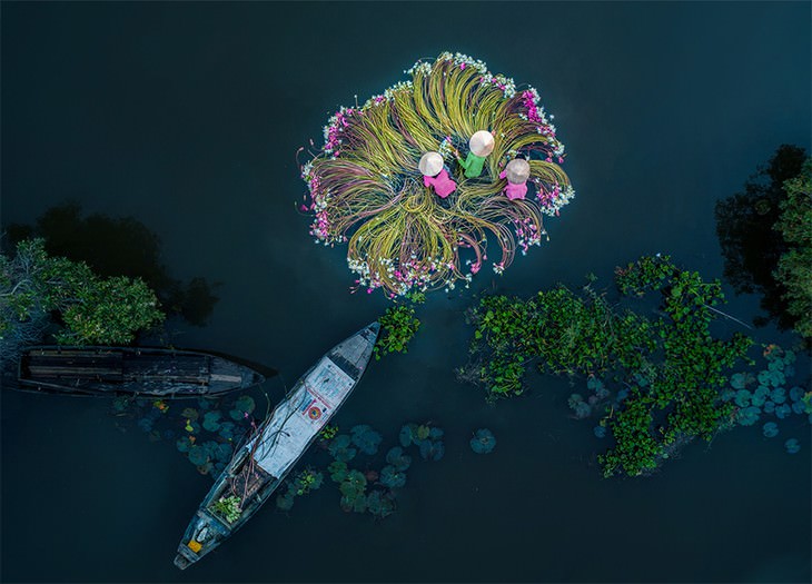 best drone photos 2018 Flowers on the water Khánh Phan