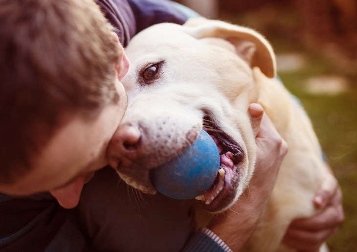 unhealthy habits Not Introducing Good Hygiene Habits When Playing With Your Pet