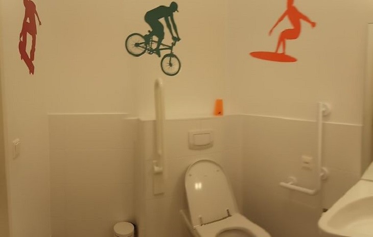 Bad bathrooms: disabled