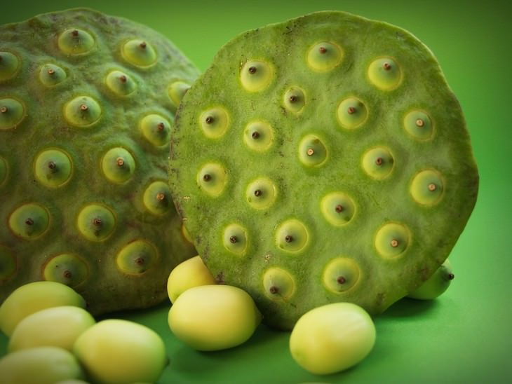 exotic fruit Lotus Seeds