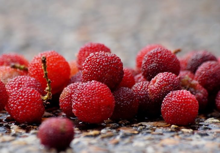 exotic fruit Chinese Bayberry